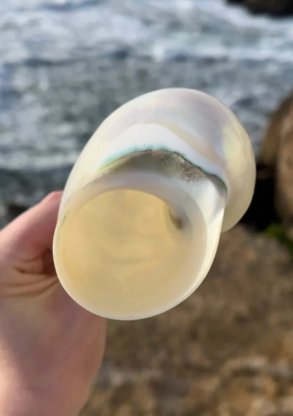 The Mermaid’s Kiss Champagne Glass